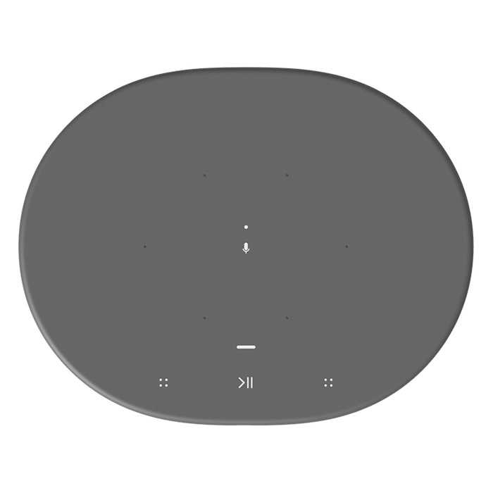 SONOS MOVE WIRELESS & BLUETOOTH SPEAKER